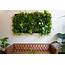5 Mistakes To Avoid With Indoor Vertical Gardens  Custom Home Group