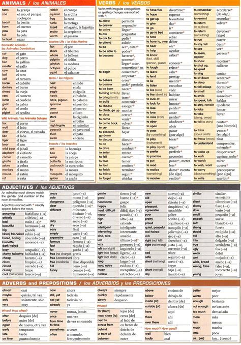 Spanish Grammar Chart Animals Verbs Adjectives Adverb And