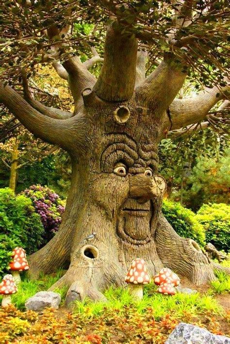 Image Result For Funny Trees With Faces Weird Trees Tree Faces Tree