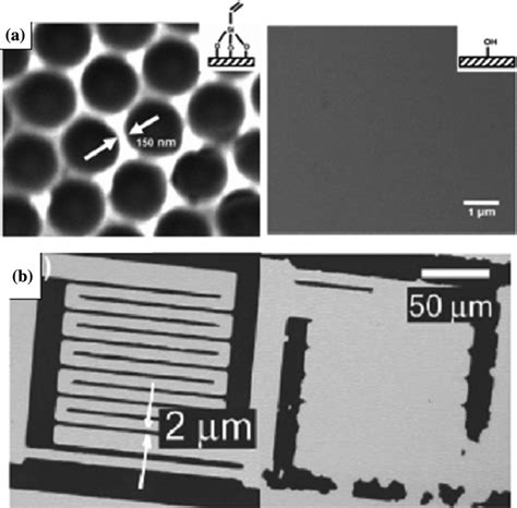 A In Colloidal Lithography The Deposited Films Need To Be Grafted To Download Scientific