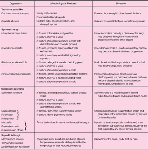 Fungi: Yeasts and Molds | Microbial Pathogens Requiring Special Lab