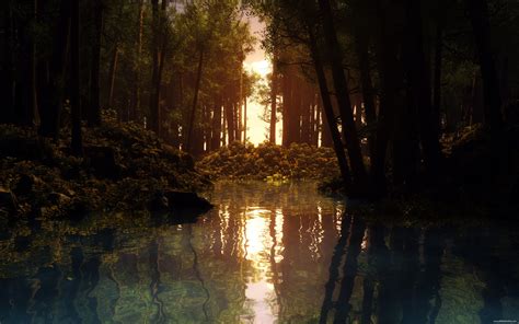 壁纸 阳光 树木 森林 日落 湖 水 性质 反射 晚间 早上 河 湿地 秋季 黑暗 栖息地 自然环境 大气