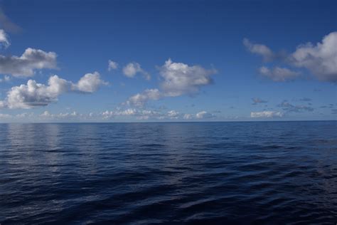 Calm Ocean Water Free Stock Photo Public Domain Pictures