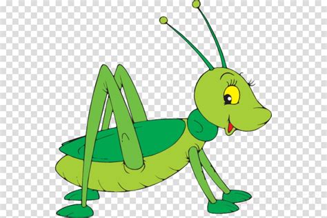 Grasshopper Clipart Green Clipart Grasshopper Green Transparent Free