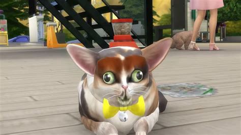 The One And Only Spleens The Cat Sims4