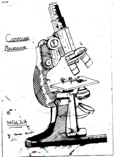Microscope Line Drawing at PaintingValley.com | Explore collection of