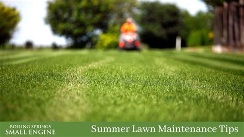 Summer Lawn Maintenance Tips Lawn Mower Sales And Service