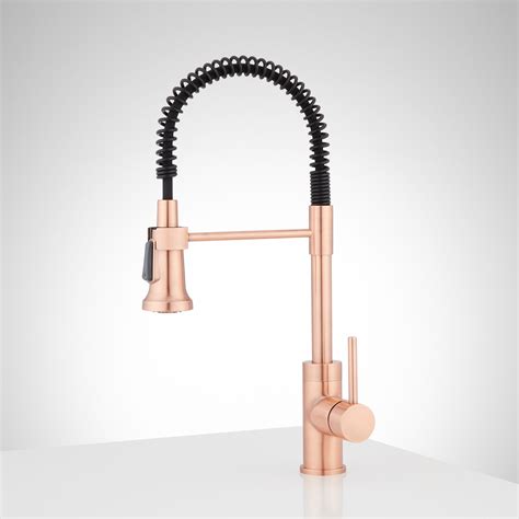 19 Presidio Kitchen Faucet With Pull Down Spring Spout Signature