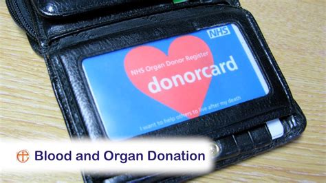 We did not find results for: Blood and Organ Donation - YouTube