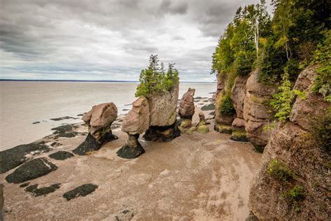 5 Amazing Places To Visit On A Southern New Brunswick Road Trip