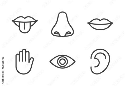 Outline Icon Set Of Five Human Senses Vision Eye Smell Nose