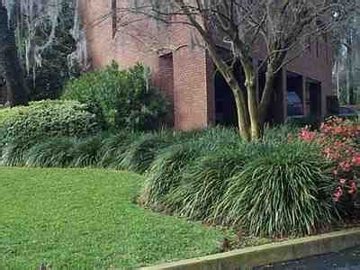21 front yard landscaping ideas to increase your home's curb appeal. 20 best images about Liriope in Landscaping on Pinterest