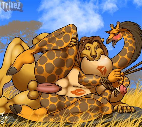 Tribez Circle Of Life By Zp92 Hentai Foundry