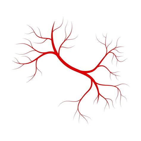 Red Veins Vector Design Illustration Isolated On White Background