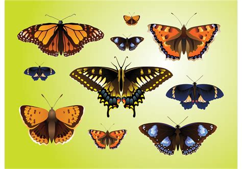 Realistic Butterfly Vectors Download Free Vector Art Stock Graphics