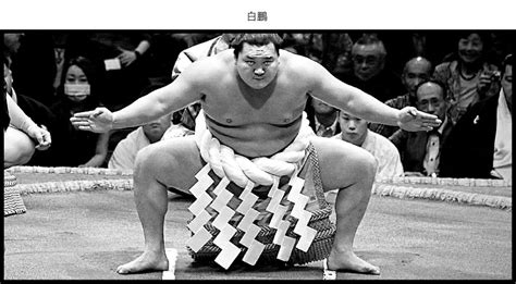 The Highest Ranked Sumo Wrestlers Like Hakuho Wear The Yokozuna Rope