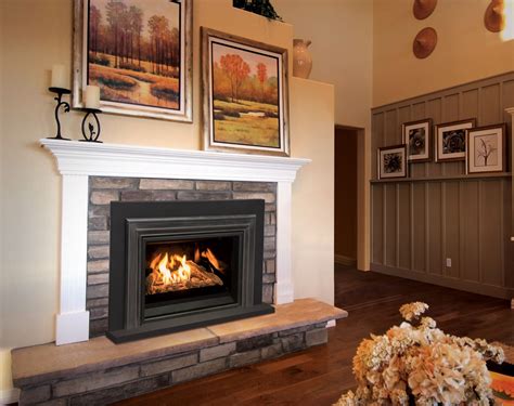 Enviro E30 Gas Fireplace Insert Sutter Home And Hearth