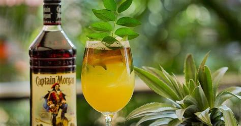 10 Must Try Rum Based Cocktails You Can Make Them At Home