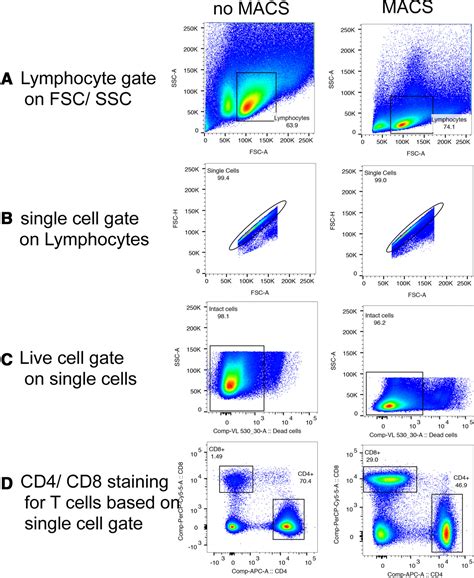 Guidelines For The Use Of Flow Cytometry And Cell Sorting In