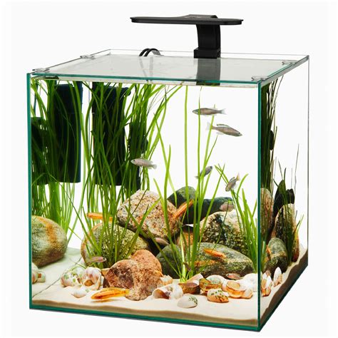 Aqueon Frameless Cube Aquarium 14 Gallon Petco Square Fish Tank