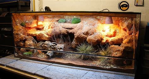 This Bearded Dragon Cage Is Awesome Bearded Dragons Beard