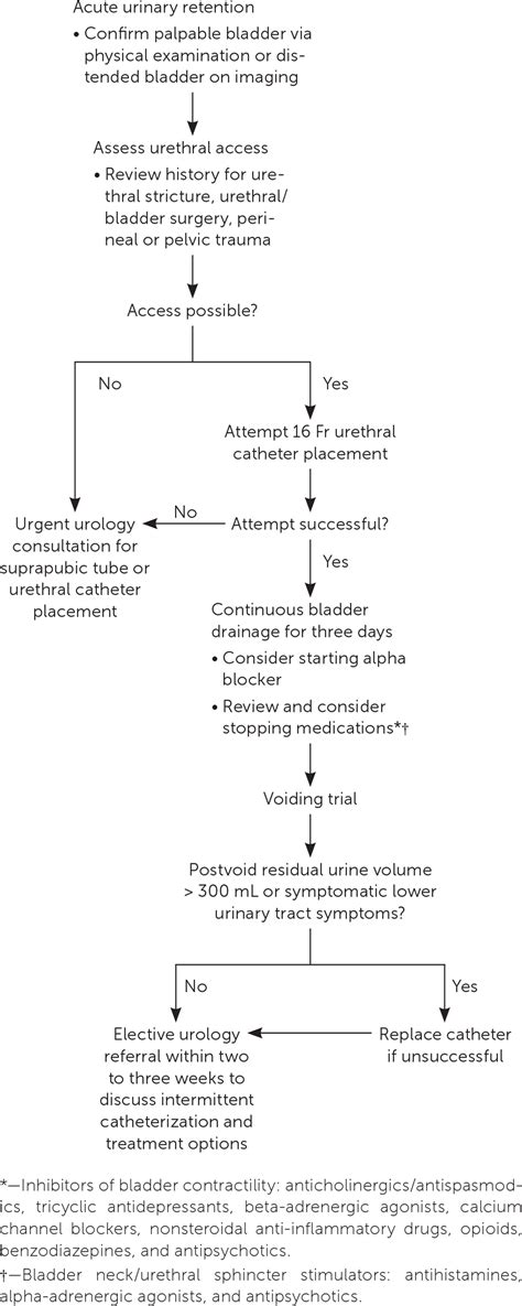 Urinary Retention In Adults Evaluation And Initial Management Aafp