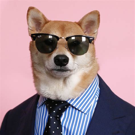 Mensweardog The Most Stylish Dog In The World Menswear Dog
