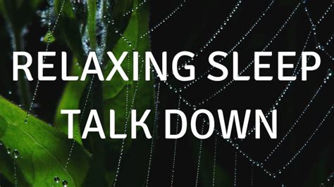 Relaxing Sleep Talk Down With Music A Guided Sleep Meditation To Help