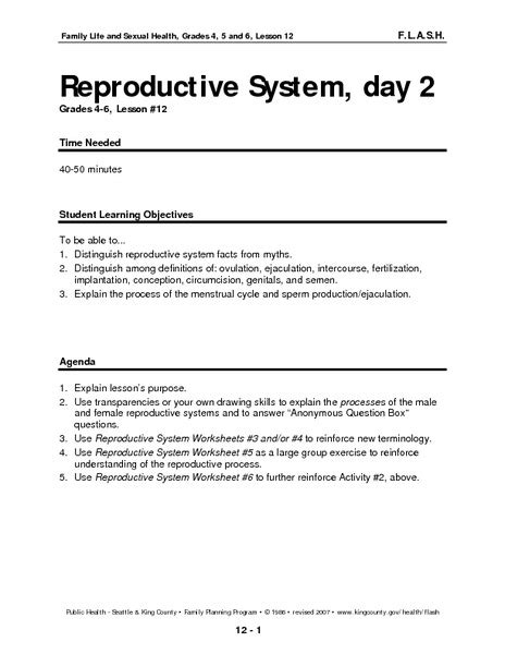 Reproductive System Day 2 Lesson Plan For 5th 10th Grade Lesson Planet