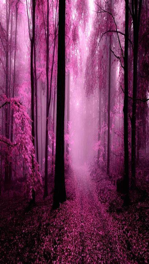 947 Wallpaper Pink Nature Images And Pictures Myweb
