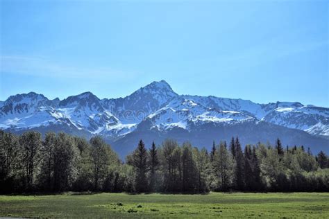 Alaskan Meadow With Lake And Snow Capped Mountains And Trees Stock