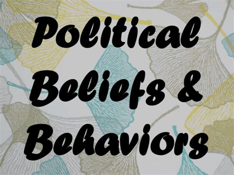 Political Beliefs And Behaviors Public Opinion Definition