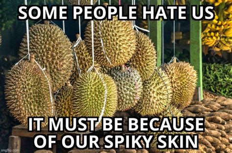 Stop Hatred Against Durian Imgflip
