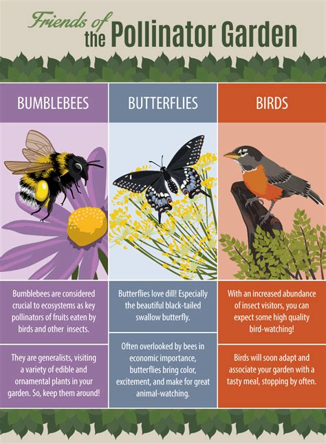 Native Plants And The Pollinator Garden