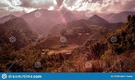mountains-with-rice-fields-,-sapa,vietnam-stock-photo-image-of-field