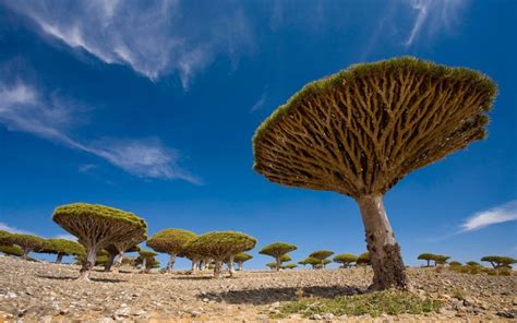The Worlds Strangest Natural Wonders Rallypoint