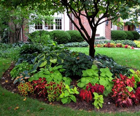 Landscaping Around Trees Plants Ideas Landscape Designs For Your Home