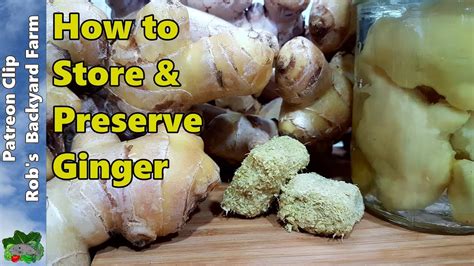 7 Ways To Store Ginger Or Turmeric Youtube