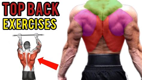 4 Best Back Exercises To Get Bigger Back Fast Youtube