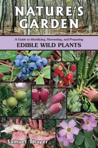 Natures Garden A Guide To Identifying Harvesting And Preparing