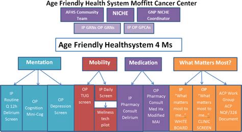 Crafting Age Friendly Cancer Care A Model For Improvement Utilizing