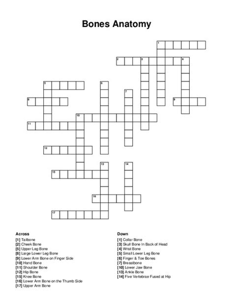 Bones Anatomy Crossword Puzzle