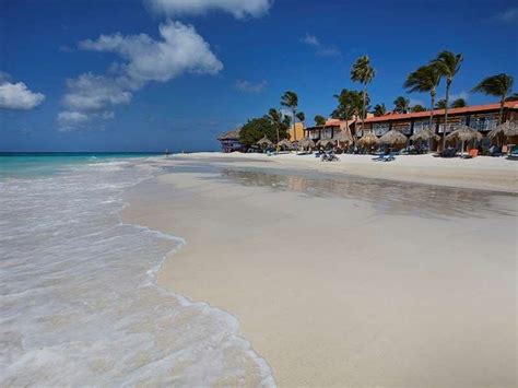 Tamarijn Aruba All Inclusive Updated 2021 Prices Reviews And Photos