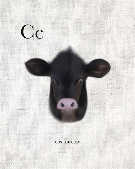 C Is For Cow Poster Print By Leah Straatsma Lsrc047c Posterazzi