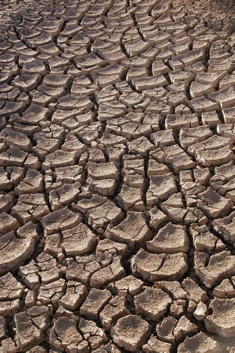 Drought Naked Scientists
