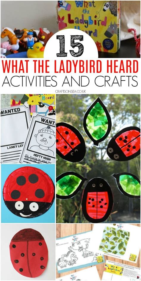 What The Ladybird Heard Activities And Crafts For Kids Kidscrafts