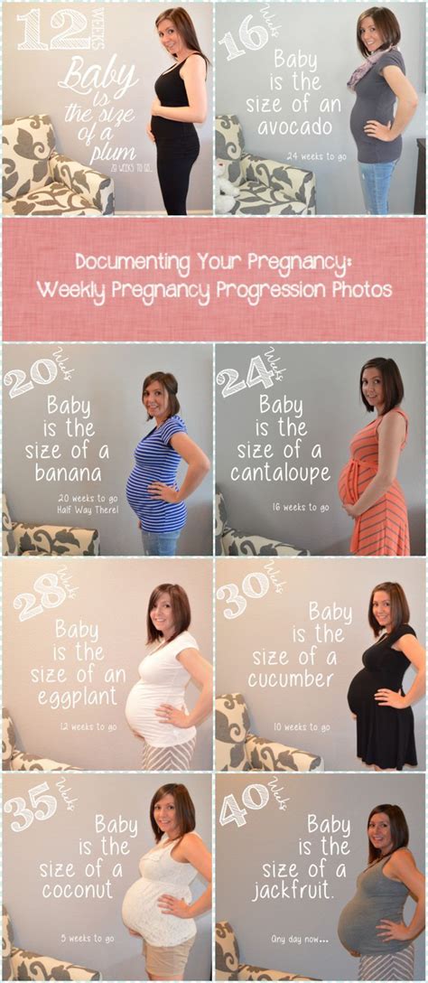 How To Document Your Pregnancy Weekly Pregnancy Progression Photos And