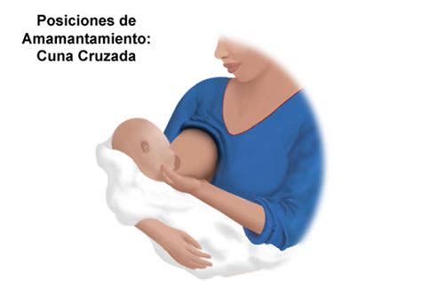 Reconducir una posición o succión inadecuada hasta conseguir una lactancia materna exitosa y satisfactoria es posible, con información, paciencia lactancia materna. Posturas adecuadas hacen la diferencia en el proceso de la ...