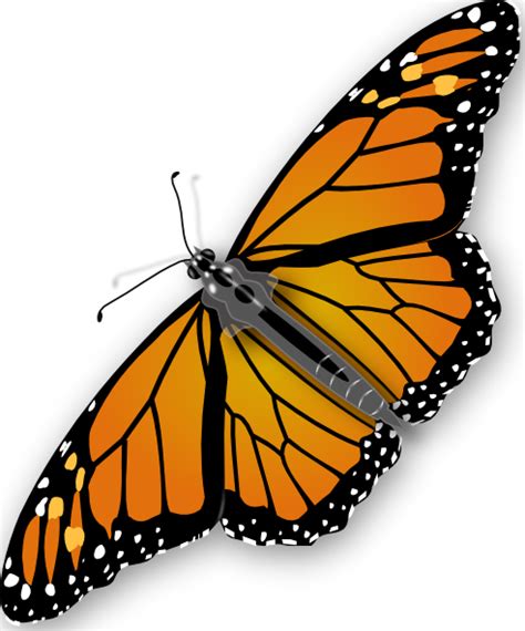 Butterfly Clip Art At Vector Clip Art Online Royalty Free