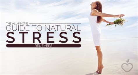 The All In One Guide To Natural Stress Relievers